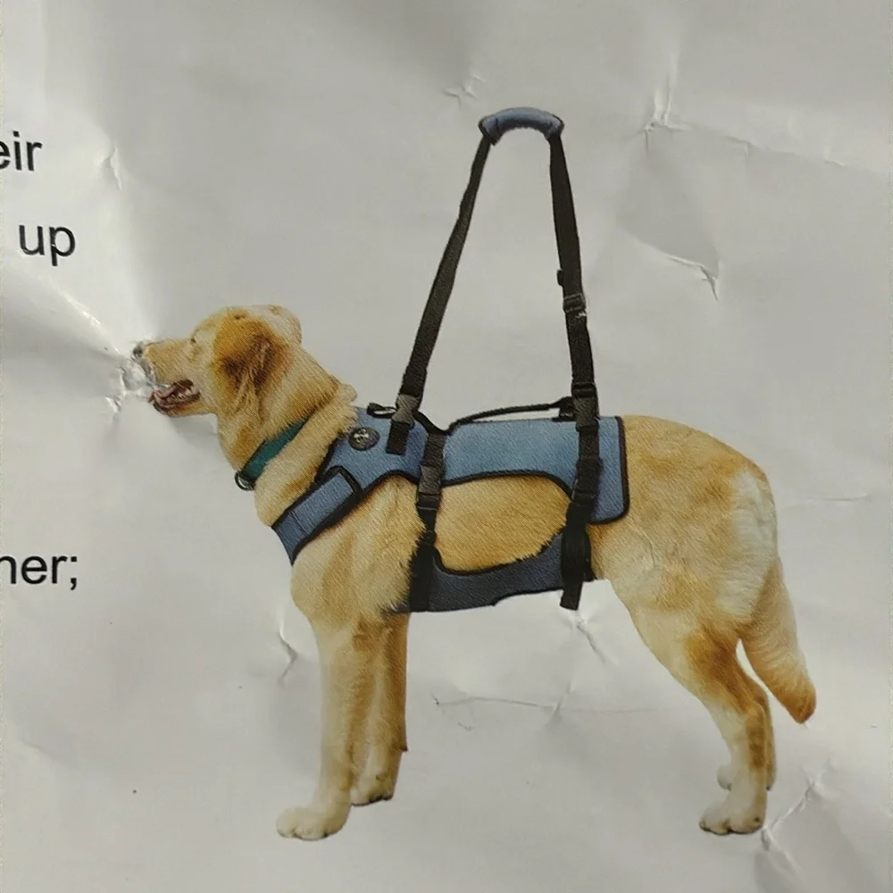 Coodeo Dog Lift Harness, Support & Recovery Sling, Pet Rehabilitation New Sz.L